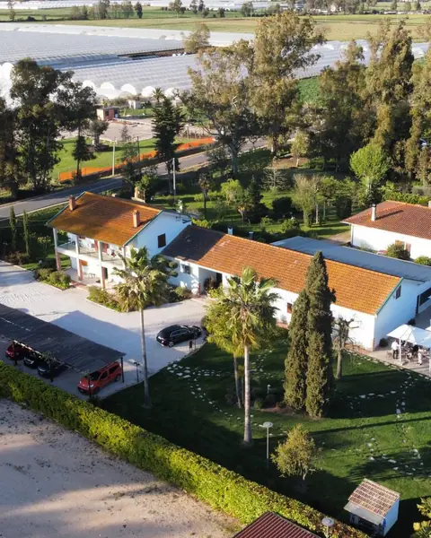 Il casale dall'alto, con i tetti di coppi, il giardino, le palme e i campi della pianura pontina intorno