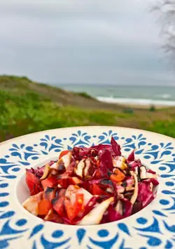 Polpo e radicchio in un piatto a decori blu, con le dune e il mare sullo sfondo