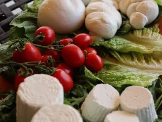 Mozzarelle, trecce e ricotte con i pomodorini su un letto di lattuga