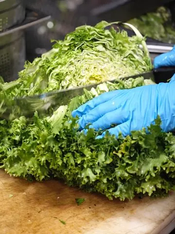 Mani con i guanti che tagliano l’insalata sul tagliere