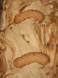 Gelato color nocciola con biscotti interi