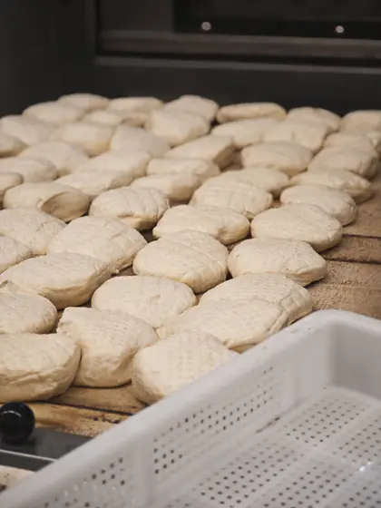 Panetti di pasta allineati sul tavolo, a lievitare