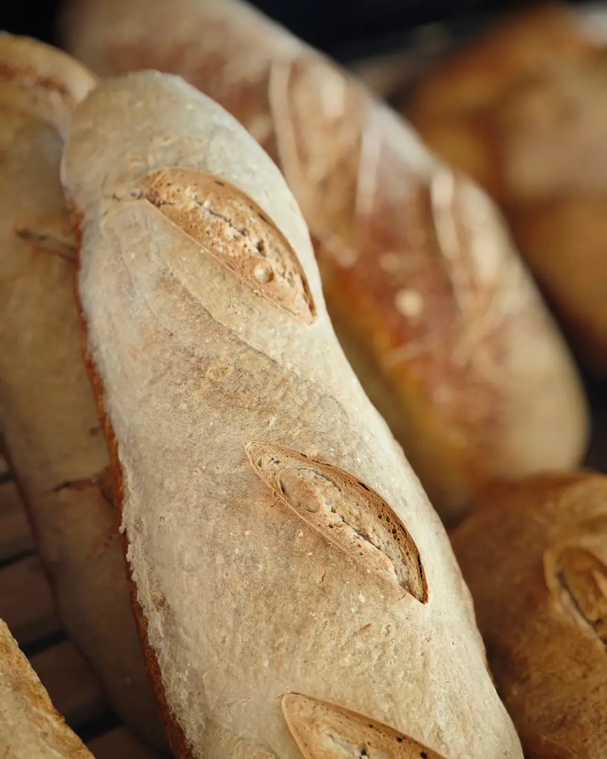 Filoni di pane appena sfornati, con la crosta dorata e le incisioni