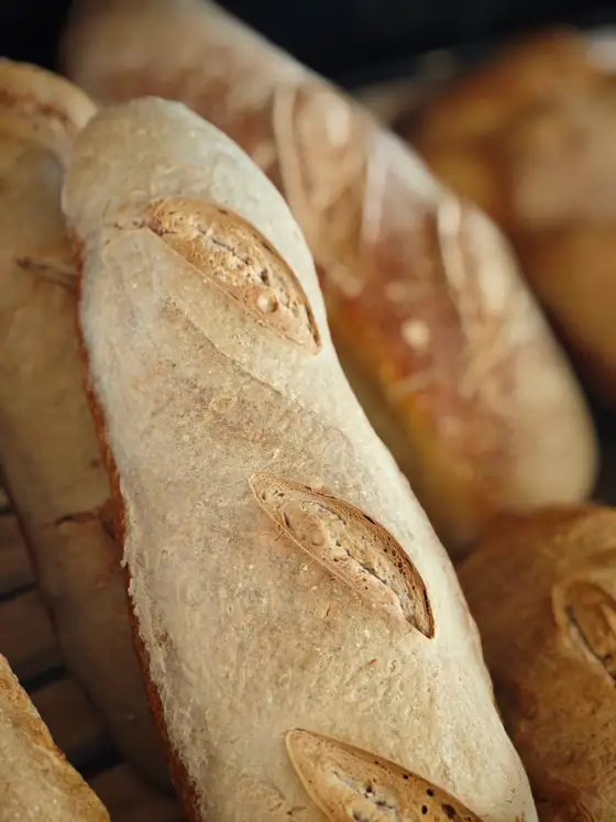Filoni di pane con la crosta dorata e le incisioni