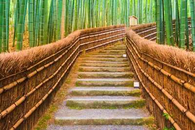Un sentiero a gradini tra le canne della foresta di bambù