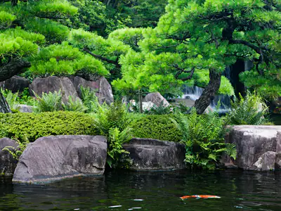 Pini potati e rocce sullo stagno del Giardino Koko-en
