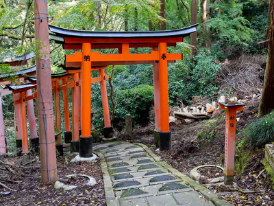Torii rossi lungo un sentiero di pietra nel bosco del Fushimi Inari