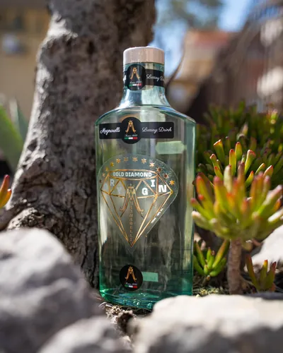 Una bottiglia di gin Gold Diamond di Magnarelli, all'aperto tra le piante grasse