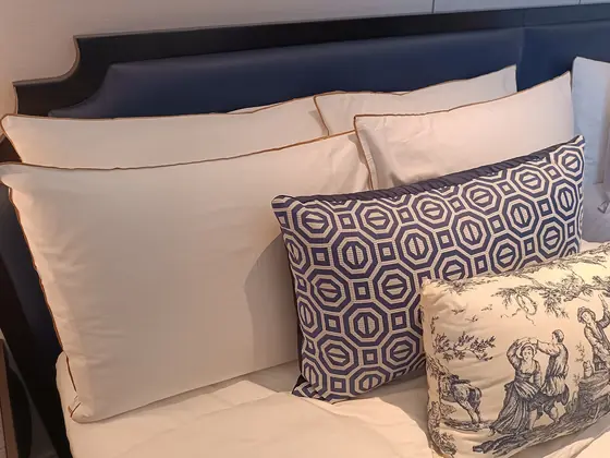 Cuscini bianchi e decorati su un letto con la testiera blu