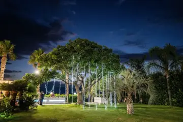 Il giardino di sera, con le luci che scendono dagli alberi