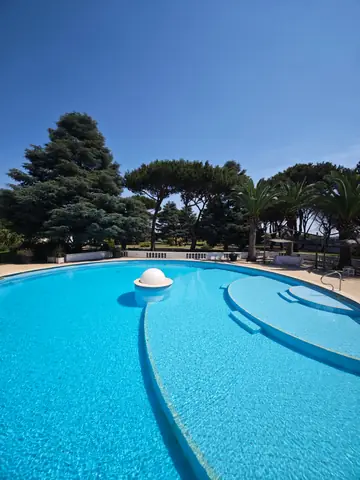 La piscina con l'isola a semicerchio, fra i pini