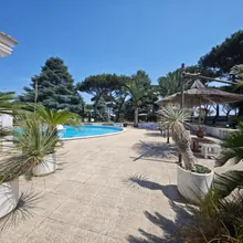 Il viale lastricato fra le palme, verso la piscina